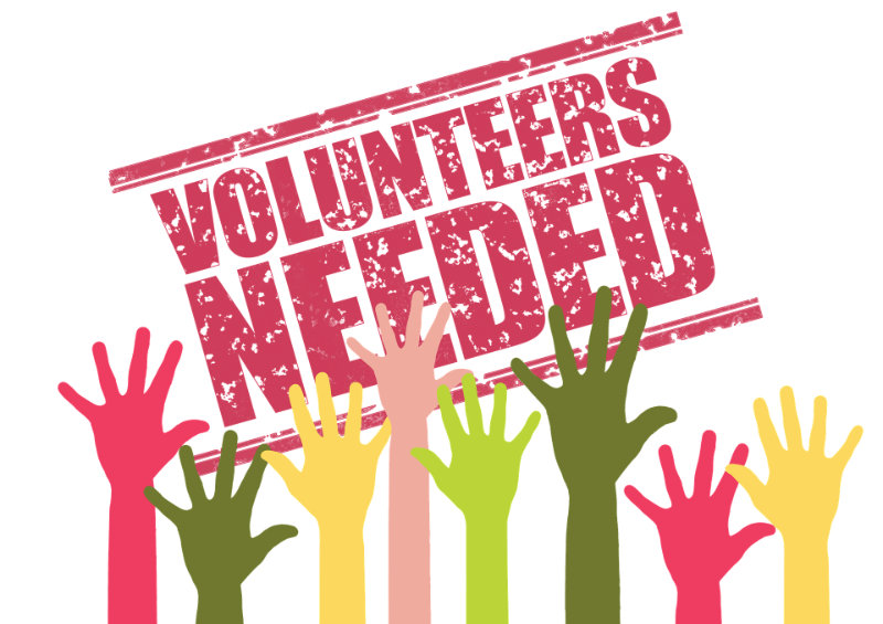 Volunteer Training this Autumn